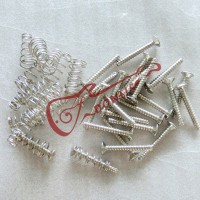 Strat Pickup Screws with mounting screws for ST electric guitar